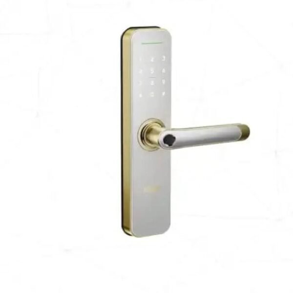 قفل باب إلكتروني ذكي